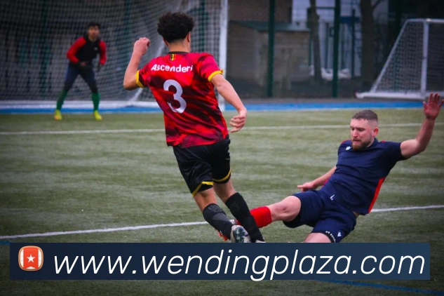 问鼎娱乐平台生态图